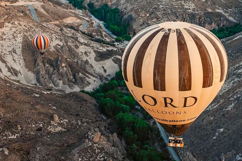 Gestreifter Heißluftballon über einem felsigen Tal mit grünen Bäumen