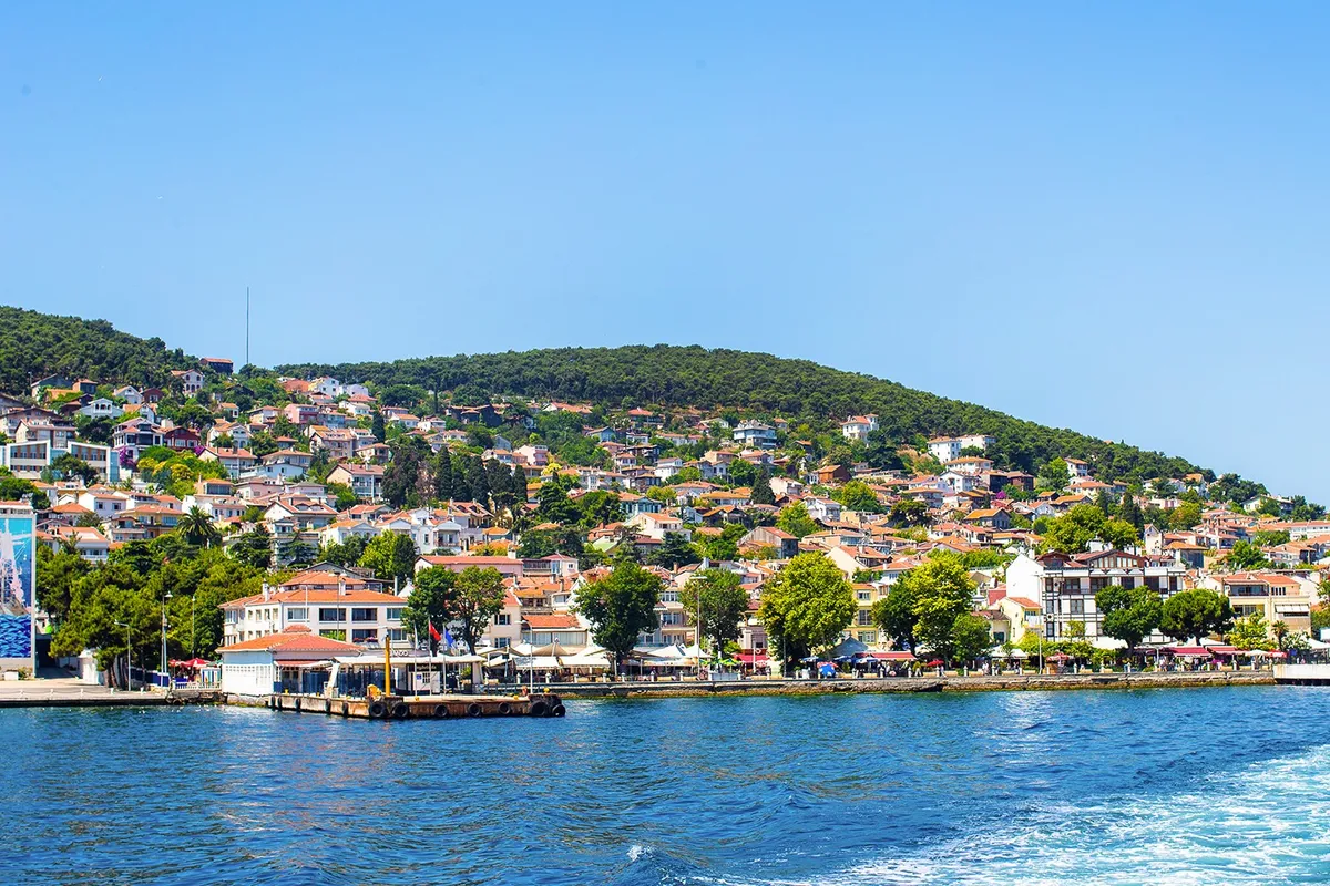 Istanbul to Princes’ Islands Round-Trip Ferry Tickets experience photograph